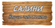 Логотип Салини